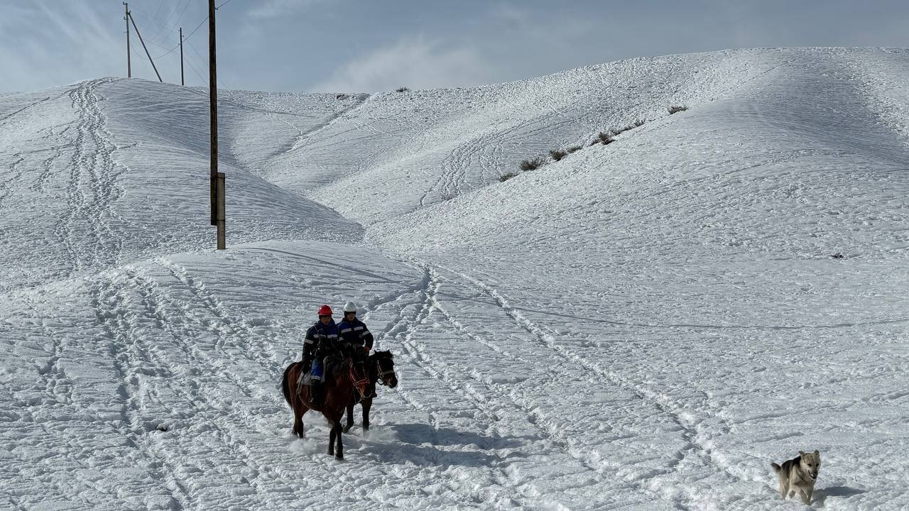 photo_2026-01-30_10-17-39