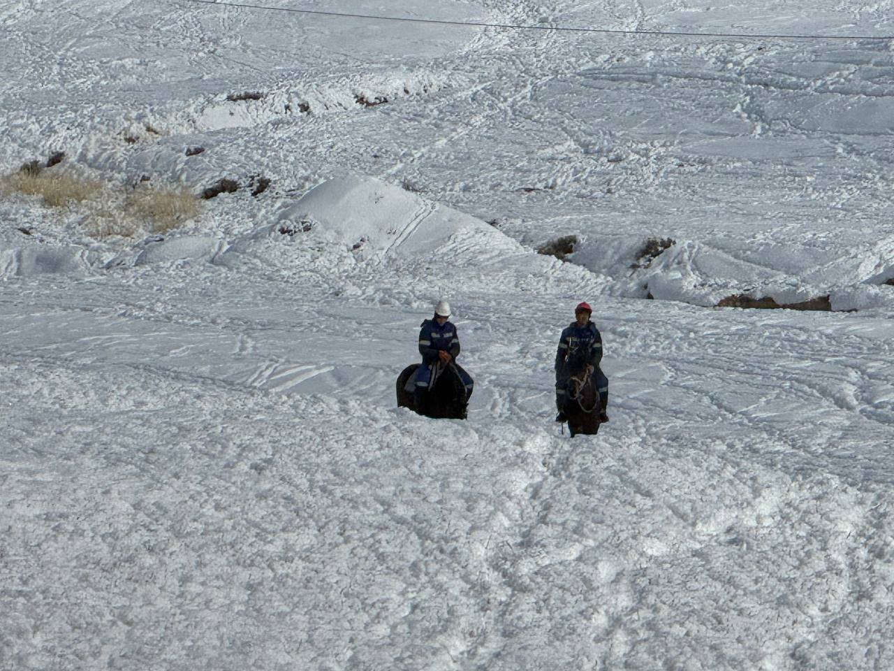 photo_2026-01-30_10-17-41