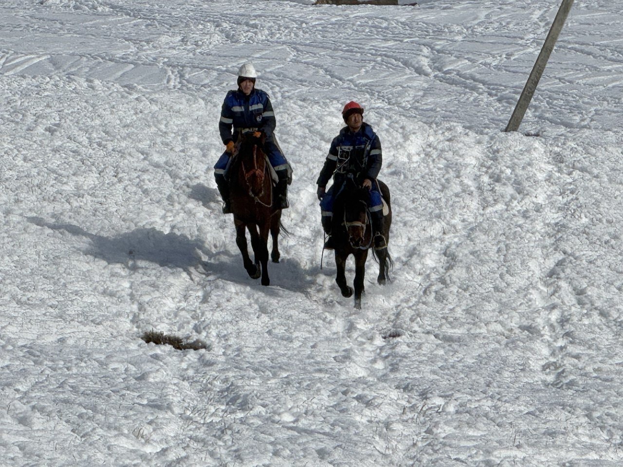 photo_2026-01-30_11-33-26